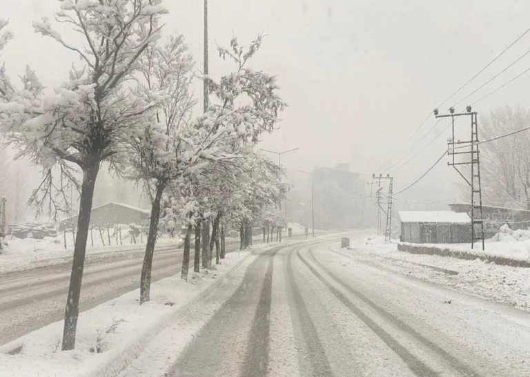 Kar Yağışı İç Anadolu ve Doğu Anadolu’yu Beyaza Bürüdü