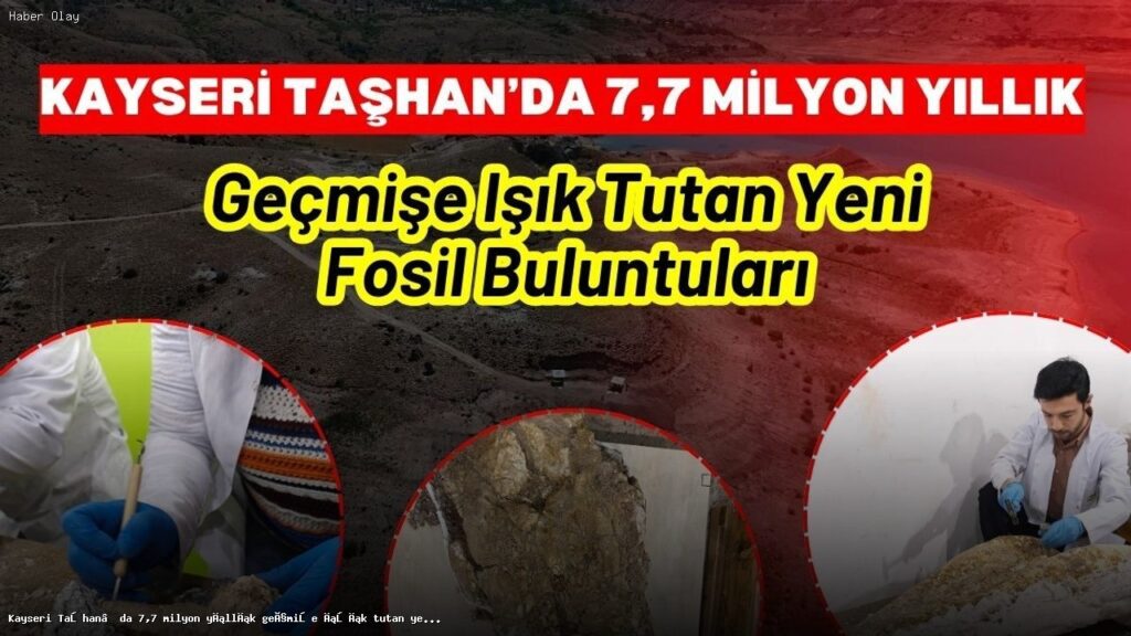 Kayseri’de 7,7 milyon yıllık fosil keşifleri heyecan yarattı