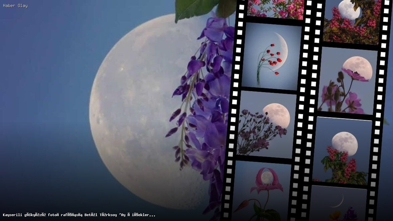 Betül Türksoy’un ‘Ay Çiçekleri 2025’ Fotoğraf Koleksiyonu