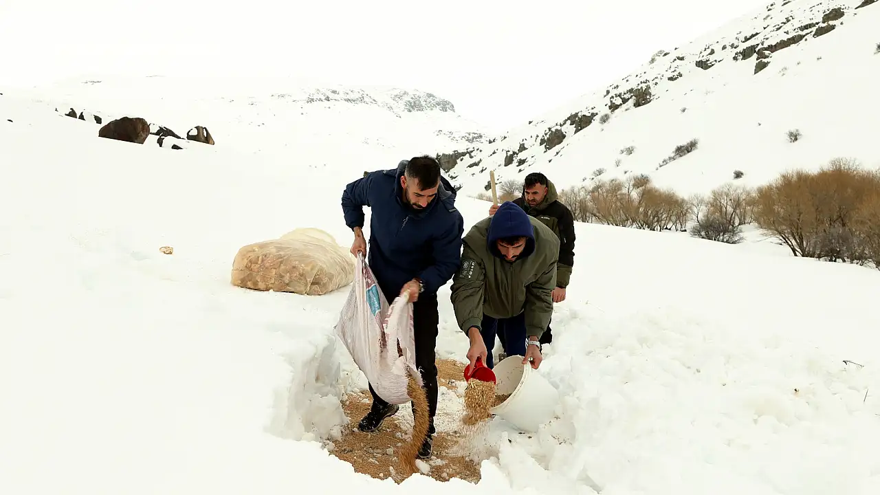 Ağrı’da Ekosistem Dengesine Destek Veren Çalışmalar