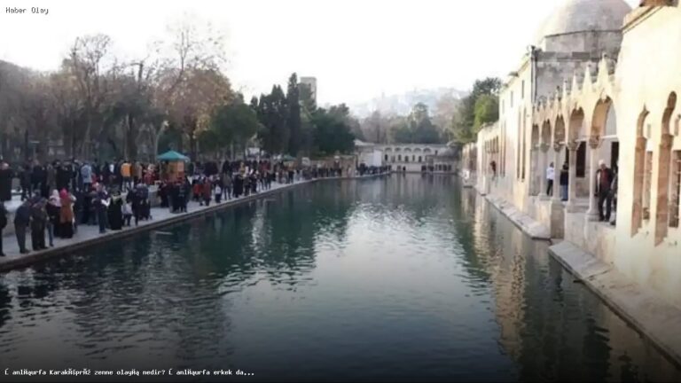 Şanlıurfa’da erkek dansöz tartışması! Neler oldu?