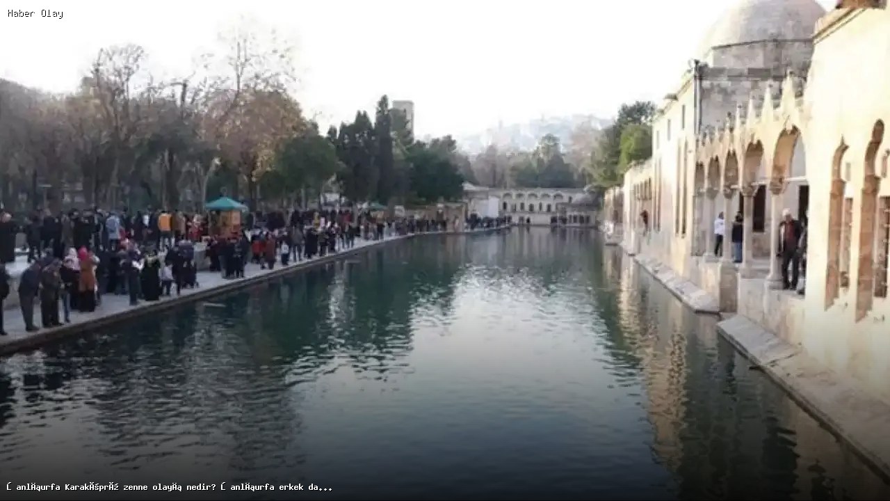 Şanlıurfa’da erkek dansöz tartışması! Neler oldu?