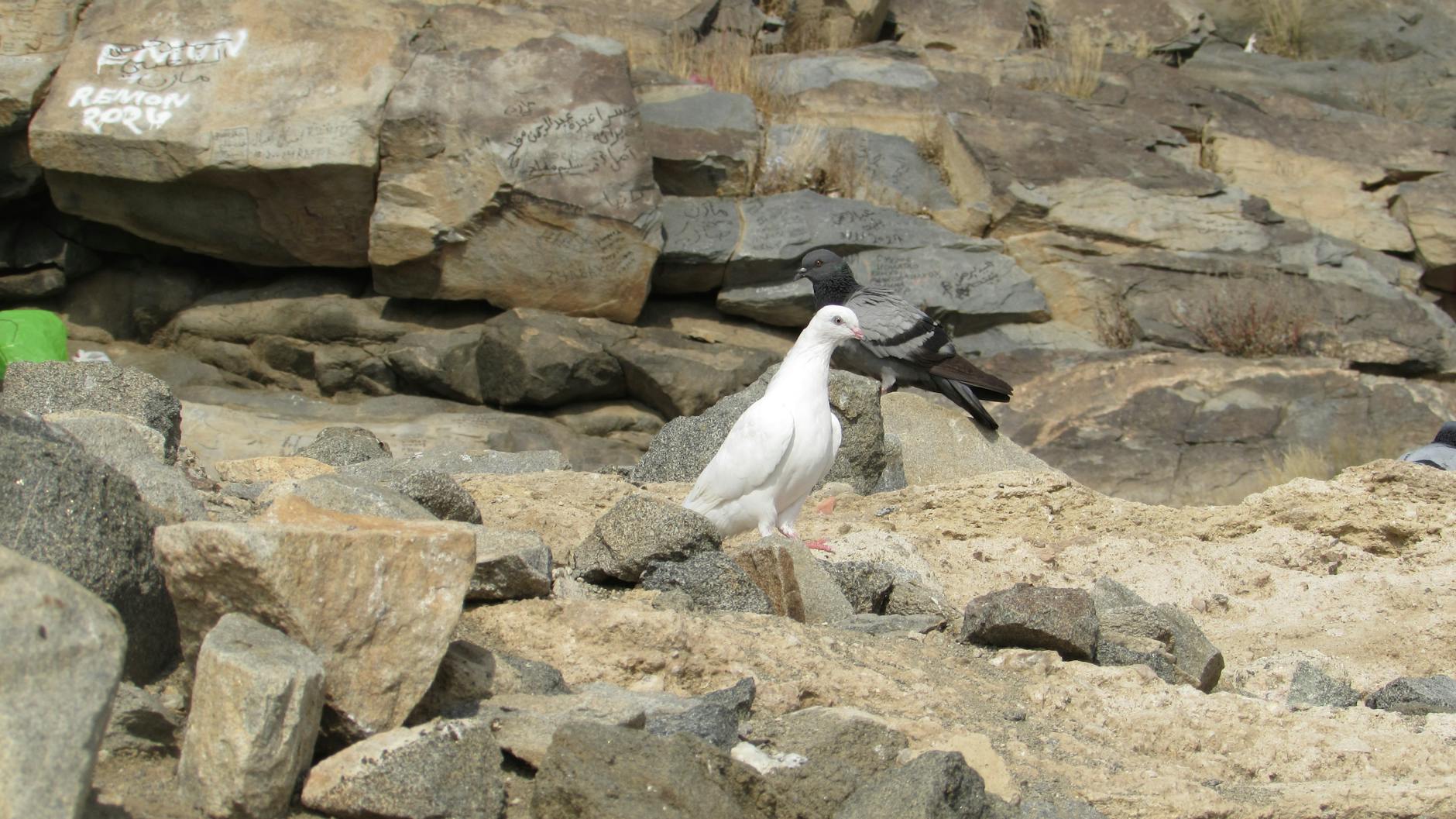 Suudi Arabistan’ın Ekonomik Hamleleri Cebimizi Nasıl Etkileyecek?