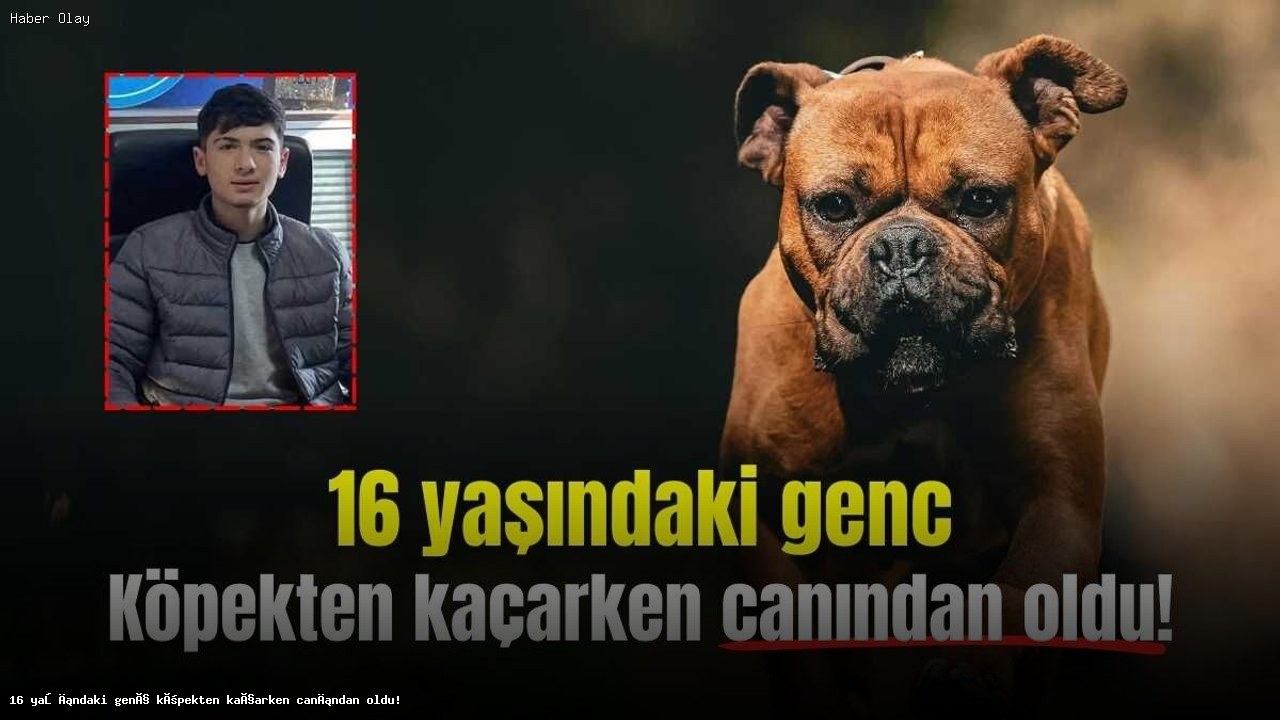 Yozgat’ta 16 Yaşındaki Genç, Köpekten Kaçarken Hayatını Kaybetti