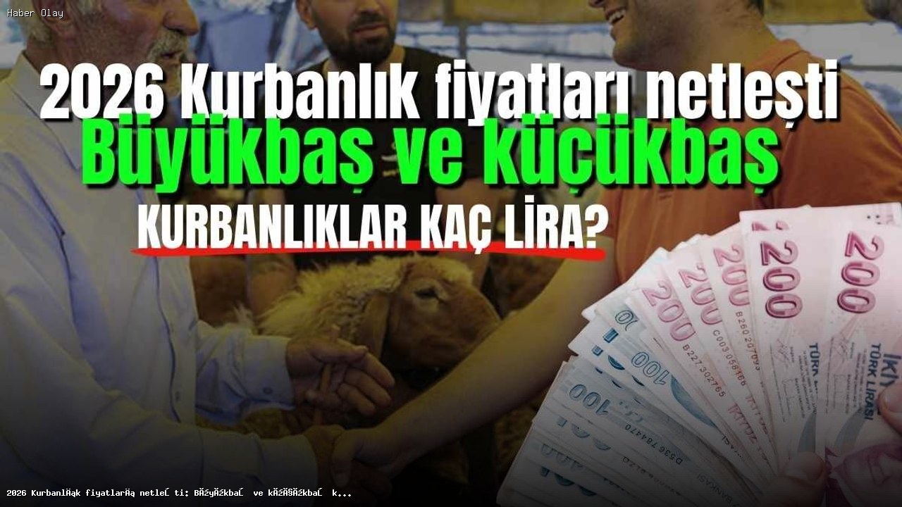 2026 Kurbanlık Fiyatları: Büyük ve Küçükbaş Hayvanlar Ne Kadar?