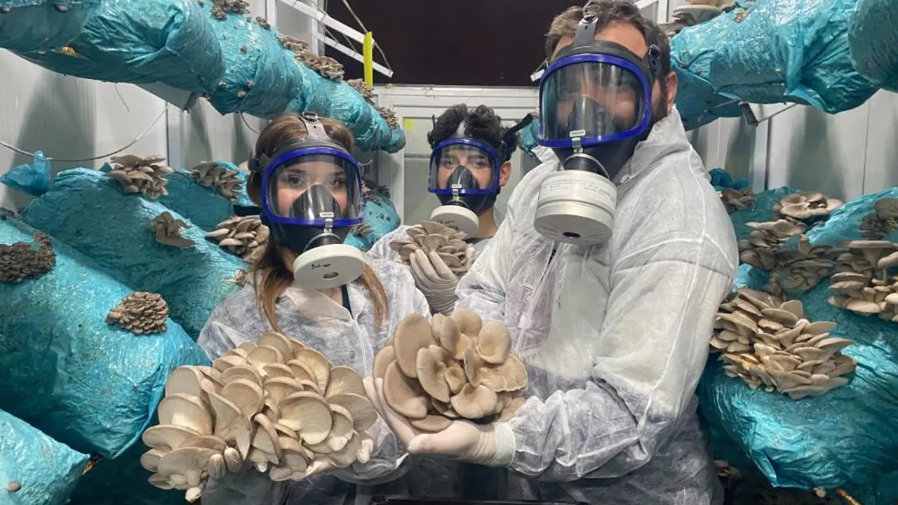 Antalya’da Mantar Üretiminde Yeni Bir Dönem Başladı