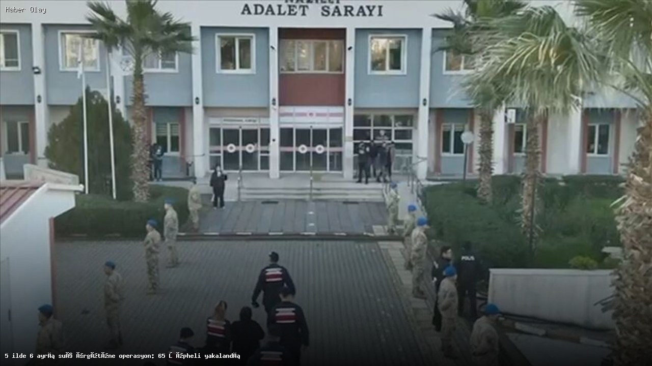 Türkiye’de Suç Çetelerine Şok Operasyon: 65 Gözaltı