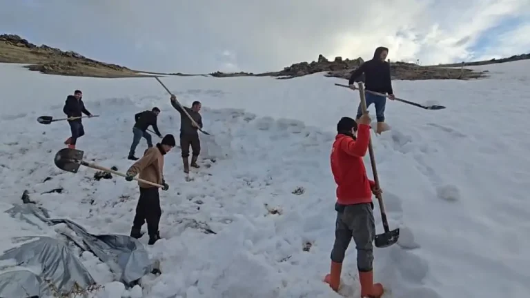 Ağrı Dağı Eteklerinde Besicilerin Kar Depolama Yöntemi