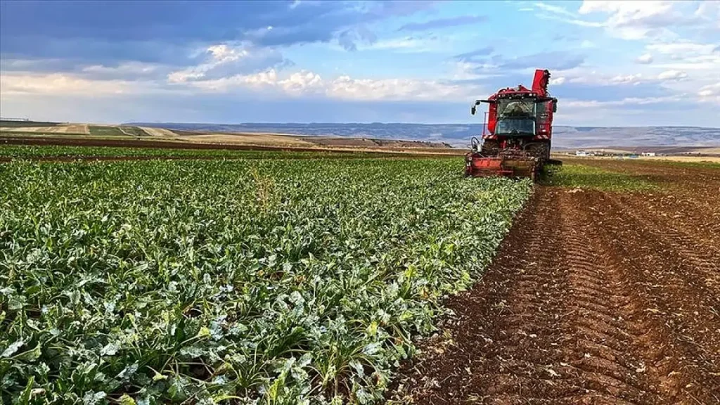 Ağrı’da ÇKS Güncelleme Süreci İçin Son Tarih Yaklaşıyor