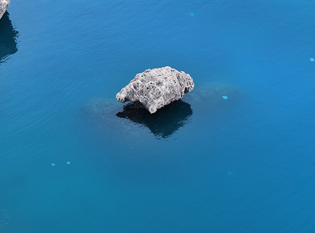 Antalya Kıyılarında Yoğun Denizanası Görüntülendi