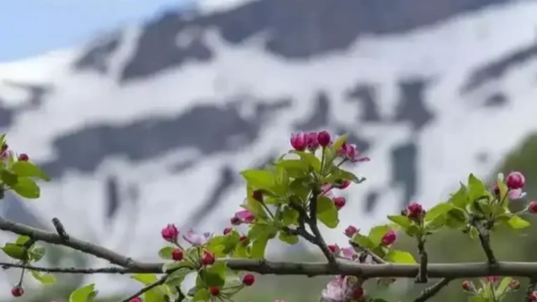 2026’nın Üçüncü Cemresi Ne Zaman Düşecek?