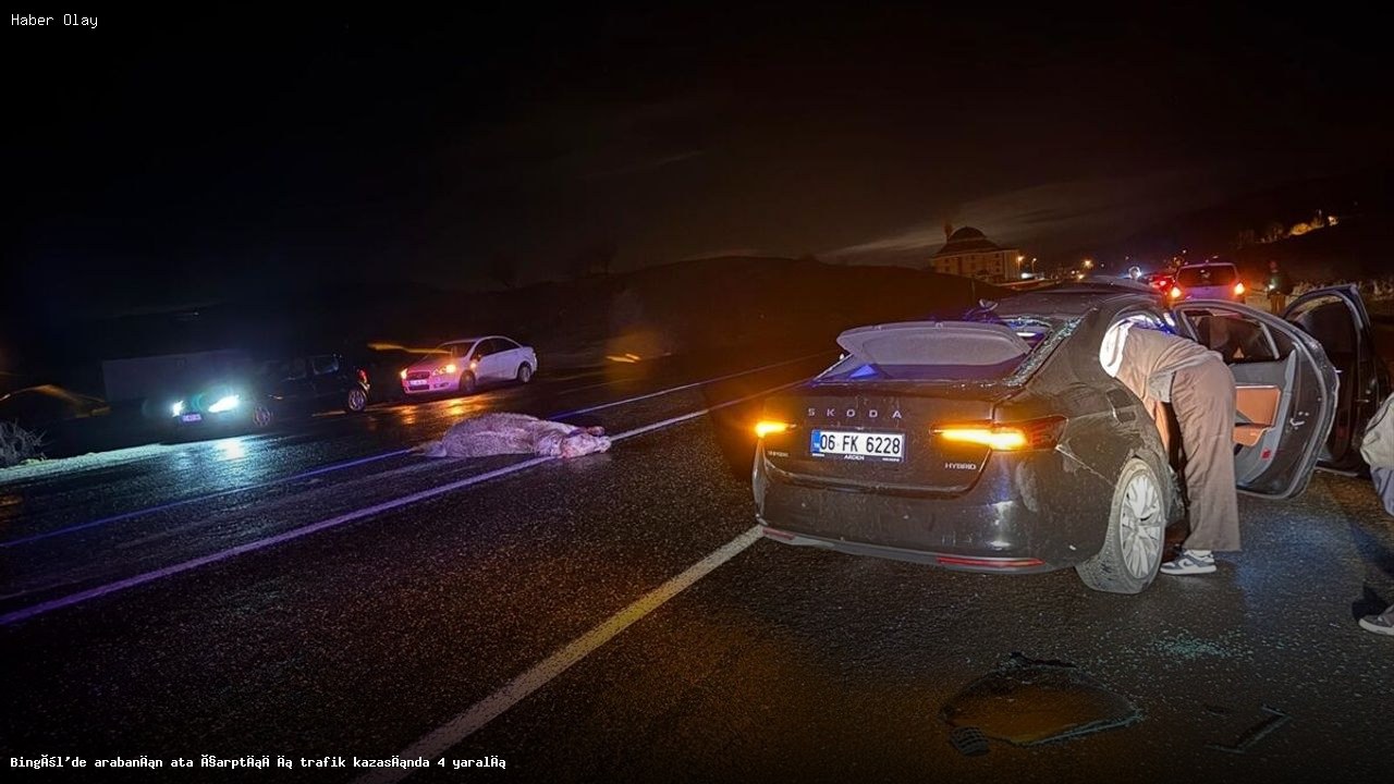 Bingöl’de Araç Ata Çarptı: 4 Yaralı