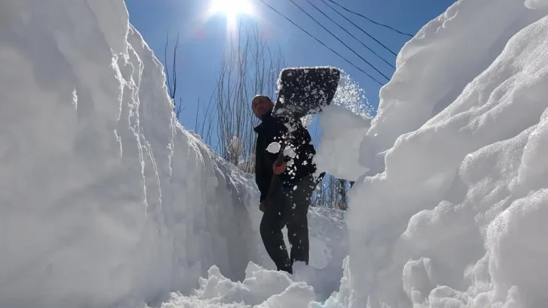 Bitlis’te Kar Tünelleriyle Hayat Mücadelesi