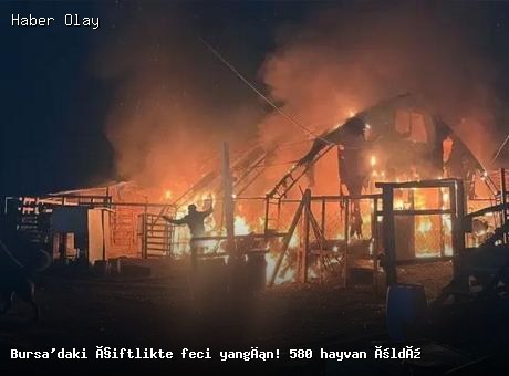 Bursa İnegöl’de büyük yangın: 580 hayvan hayatını kaybetti