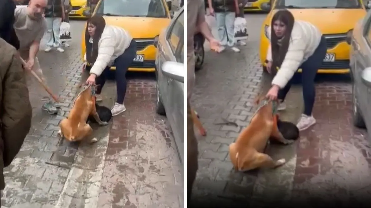 Çorlu’da Ağızlıksız Pitbull Dehşeti: Olayın Detayları