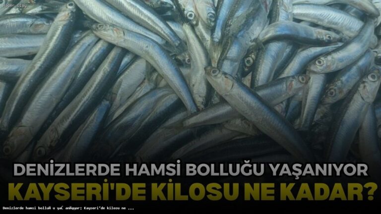 Hamsi Bolluğu Nedeniyle Kayseri’de Fiyatlar Düşüyor
