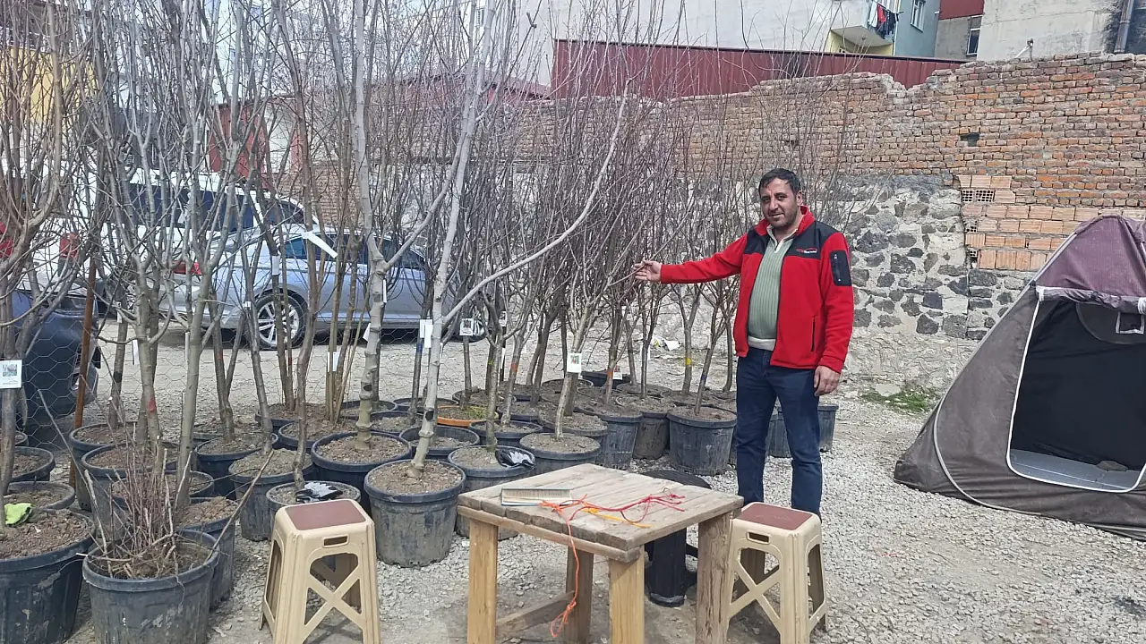 Doğubayazıt’ta Bahar Coşkusu: Fidanlar Satışta