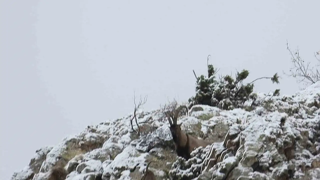 Erzurum’da Av Sezonu İçin Alınan Önemli Kararlar