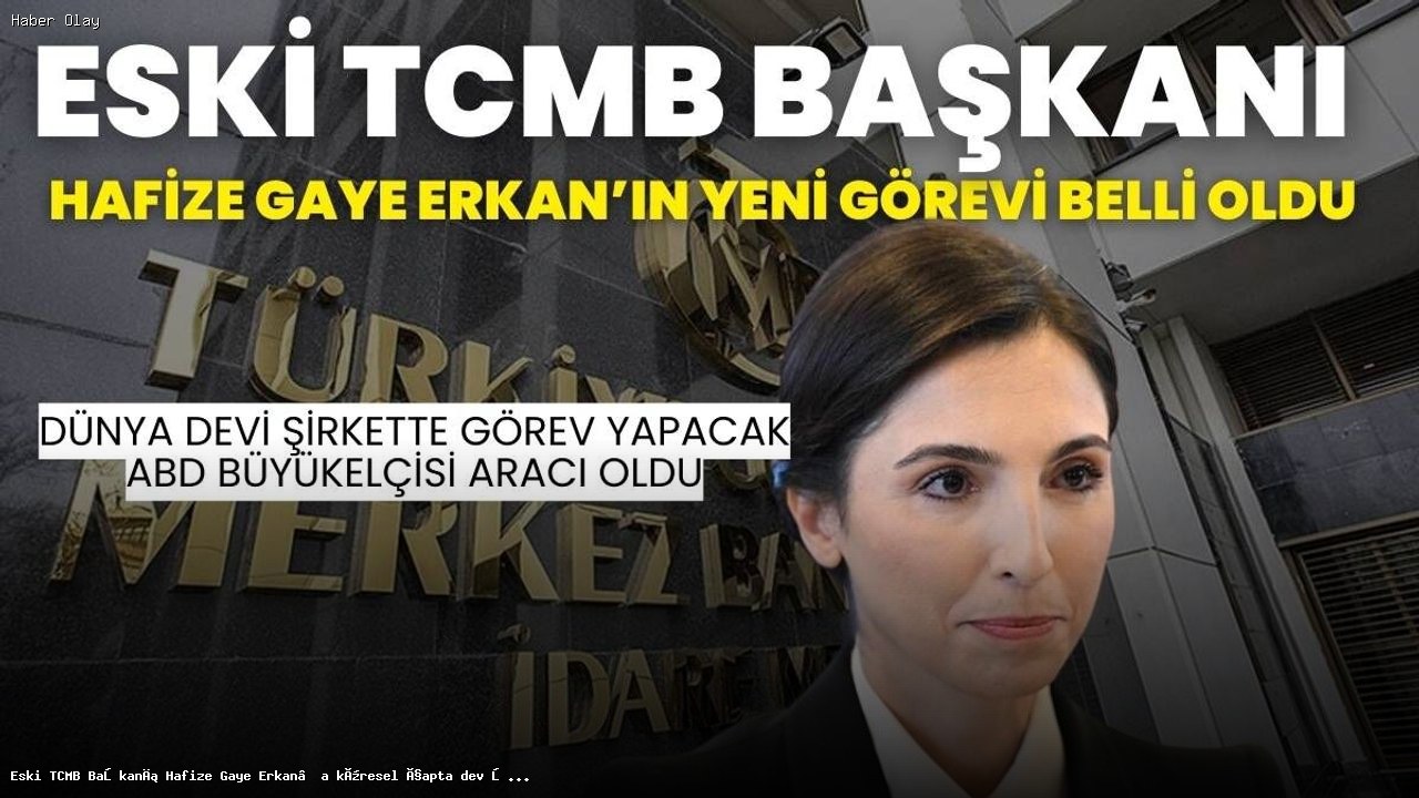 Hafize Gaye Erkan Kimdir? Yeni Görevine Neden Atandı?