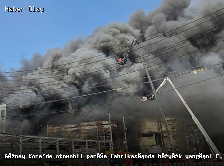 Güney Kore’de otomobil parça fabrikasında büyük yangın: 50 yaralı