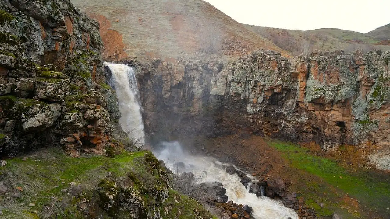 Muş’ta İlkbahar Güzellikleri: Doğa Yeniden Canlandı