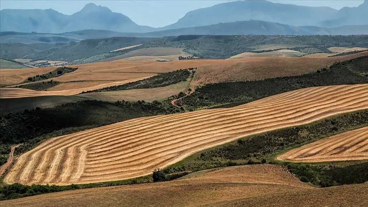 Tarım Arazilerinin Üretime Kazandırılması İçin Yeni Destekler