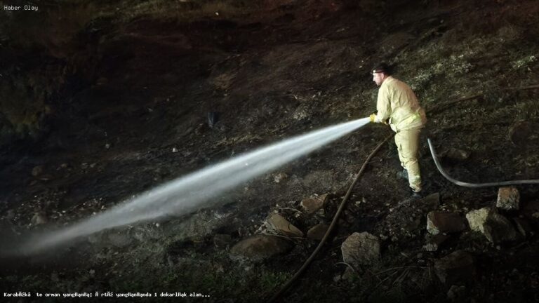 Karabük’teki Orman Yangını: 1 Dekarlık Alan Zarar Gördü
