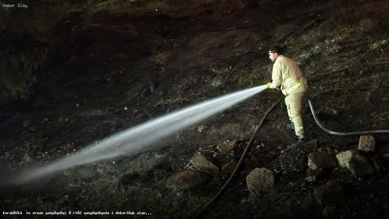 Karabük’teki Orman Yangını: 1 Dekarlık Alan Zarar Gördü