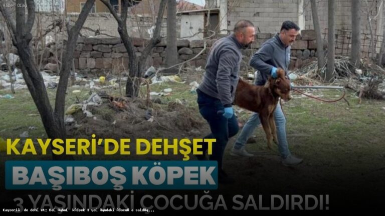 Kayseri’de Başıboş Köpeğin Saldırdığı Çocuk Kimdir?