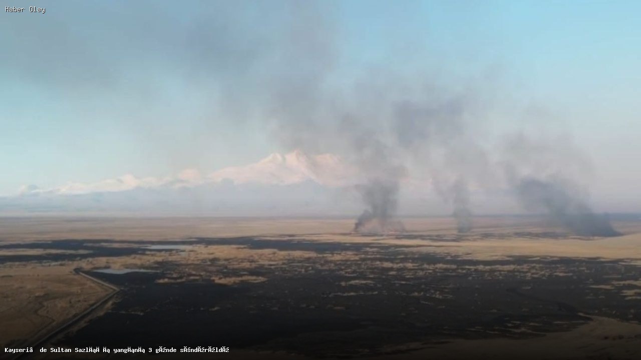 Sultan Sazlığı Yangını Nasıl Kontrol Altına Alındı?