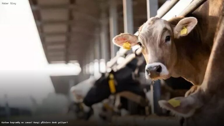 2026 Kurban Bayramı Ne Zaman? Tatil Günleri Neler?