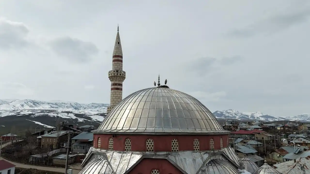 Muş’ta Bahar Umutları Karla Yarıda Kaldı