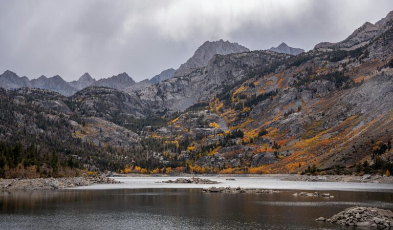 Sabrina Carpenter’ın yeni projesi: Neler bekleniyor?