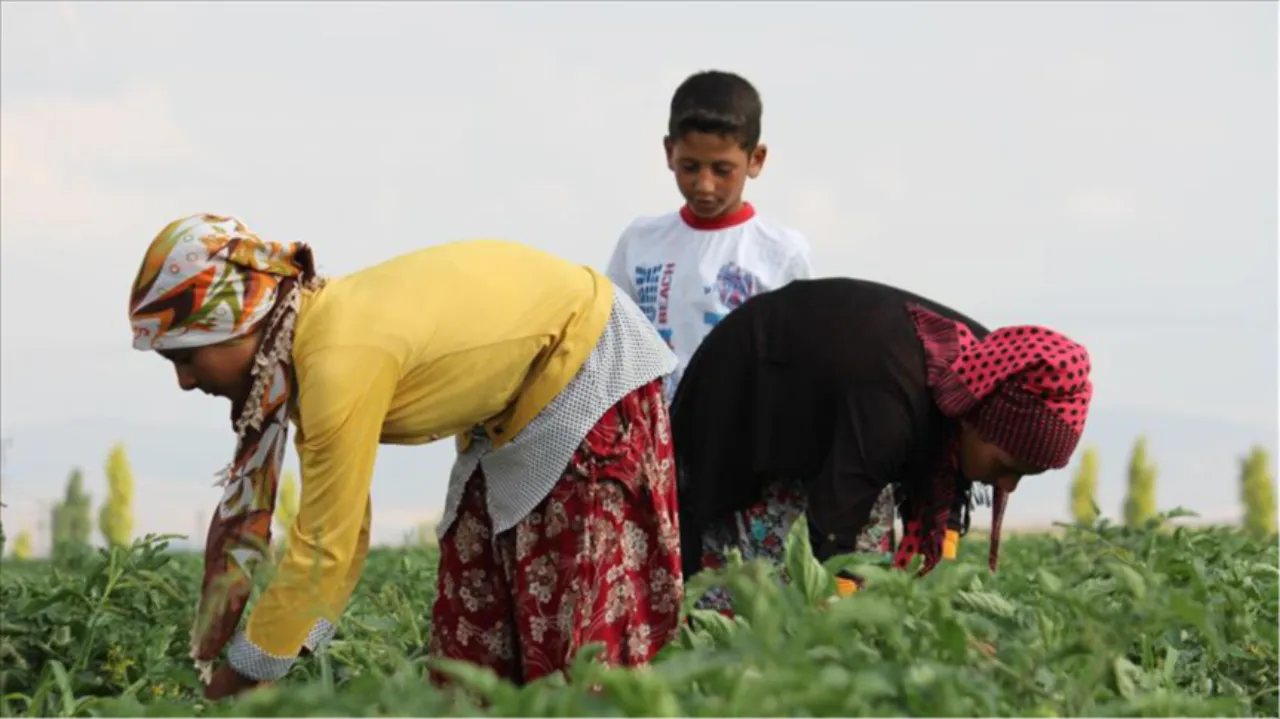 Tarım İşçileri Ücretleri Ne Kadar Artış Gösterdi?