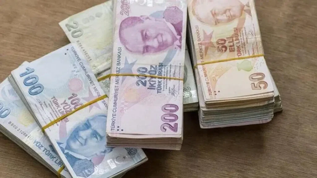Tarımsal Destek Ödemeleri: Ne Zaman ve Ne Kadar?