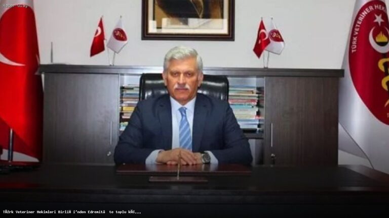 Edremit’te Köpek Ölümleri: Veterinerler Neden Soruşturma İstiyor?