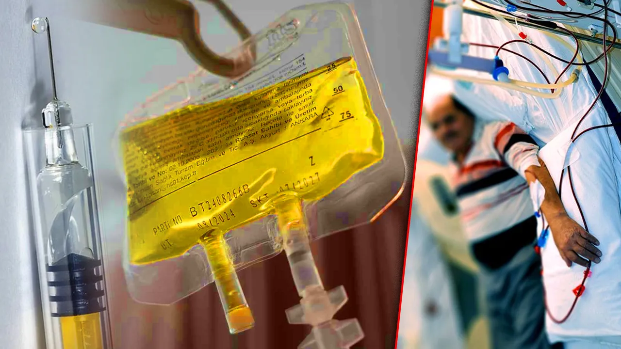Türkiye’de 10 Milyon Kişi Kronik Böbrek Hastalığı Riski Altında