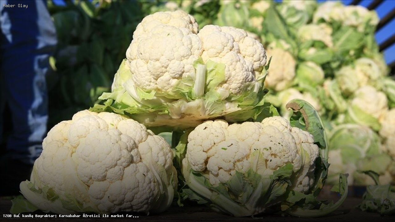 Karnabaharda Üretici ve Market Farkı Rekor Kırdı