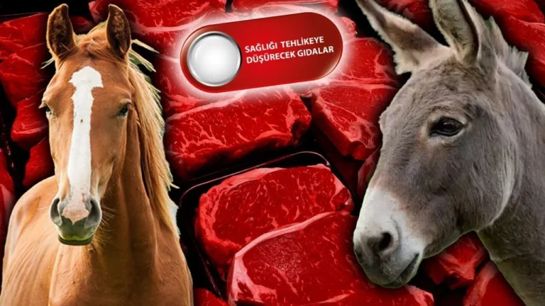 At ve Eşek Eti Yedirilen Markalar Açıklandı