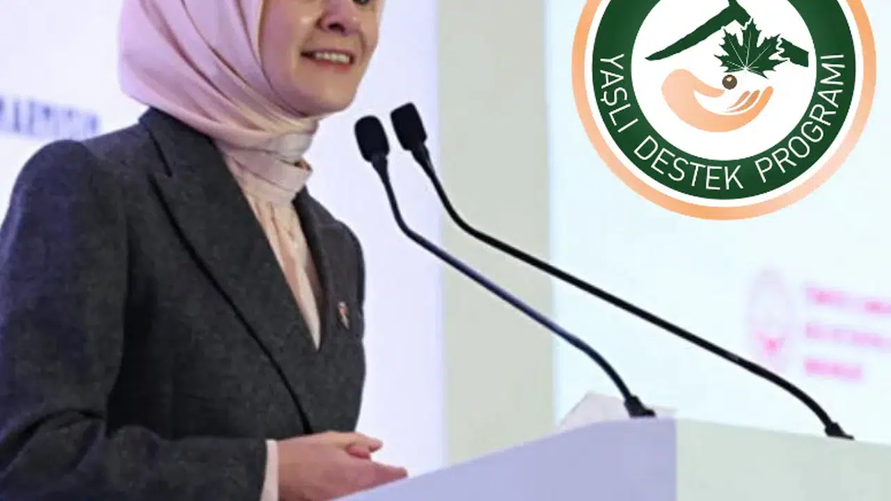 Yaşlı Destek Programı ile Sosyal Hayatın İçinde Kalıyorlar