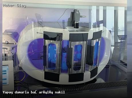 Laboratuvar Üretimi Kan Damarından Başarıyla Nakil Yapıldı