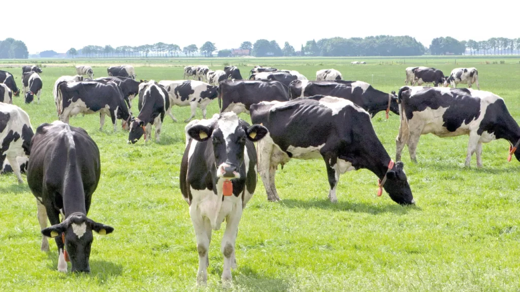 Yerel Ekonomide Yeni Dönem: Teşvik Programı Başlıyor