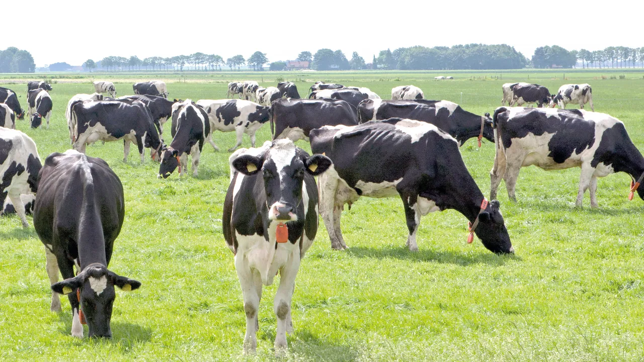 Yerel Ekonomide Yeni Dönem: Teşvik Programı Başlıyor