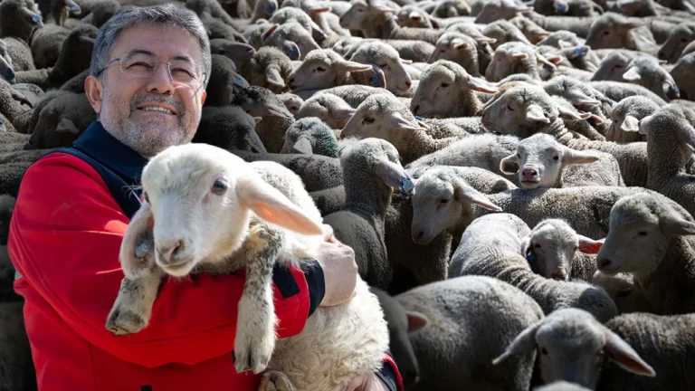 150 Bin Küçükbaş Hayvan Desteği İçin Son Başvuru Tarihi