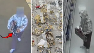 ABD’de Milyonluk Lego Dolandırıcılığı: 70 Mağaza Hedef Alındı