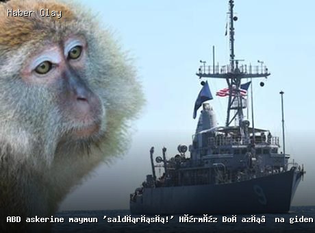 Hürmüz Boğazı’nda ABD askerine maymun saldırısı yaşandı