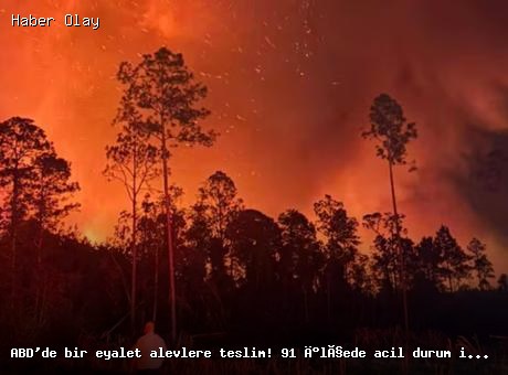 Georgia’da büyük yangın: 27 bin dönüm alan küle döndü!