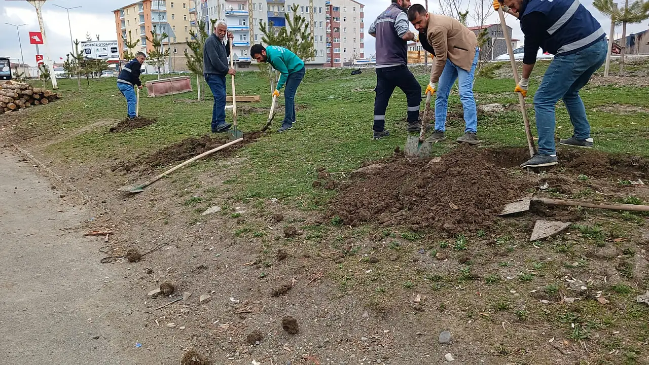 Ağrı’da Ağaçlandırma Çalışmaları Başladı: Şehir Daha Yeşil Olacak