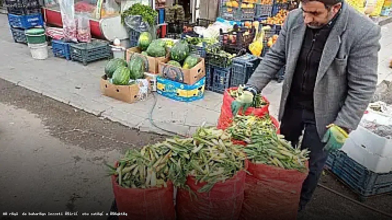 Ağrı’da Çiriş Otu Satışı Başladı: Faydaları ve Kullanım Alanları