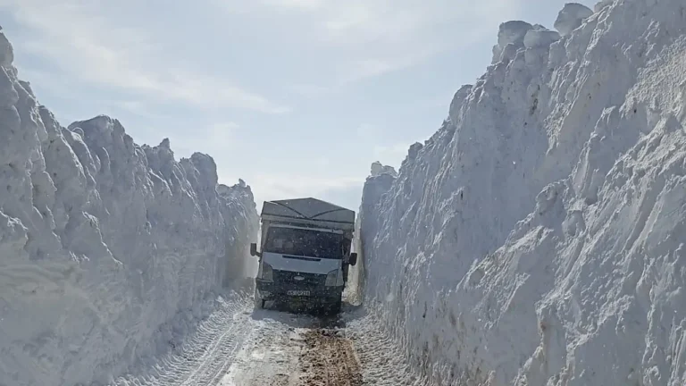 Ağrı’da Köylüler Hayvanları İçin Karı Aşıp Yola Düştü